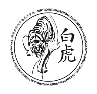 tigrebianca logo