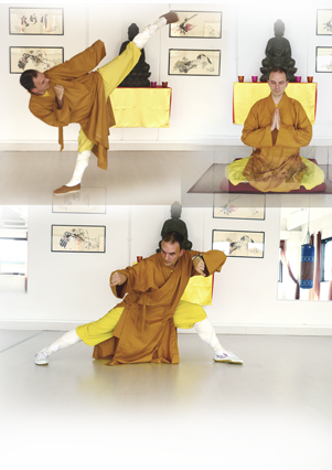 denfeng shaolin wushu