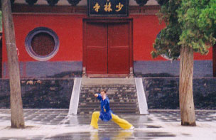 Shaolin Wushu Kung fu