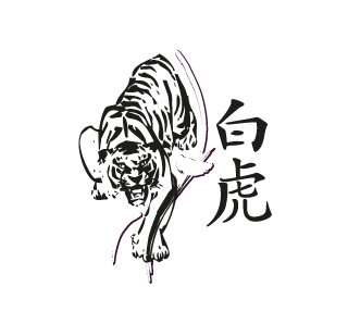 shi yan deng